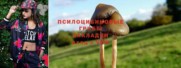 альфа пвп Горняк