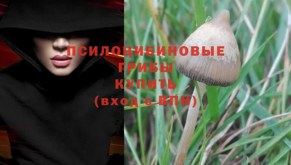 гидропоника Горно-Алтайск
