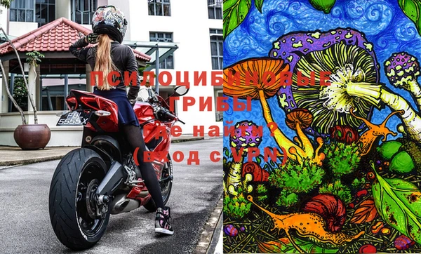 альфа пвп Горняк