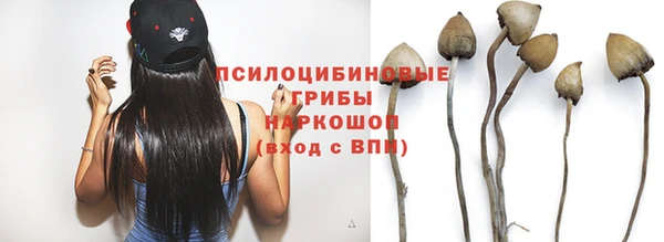 Альфа ПВП Горнозаводск