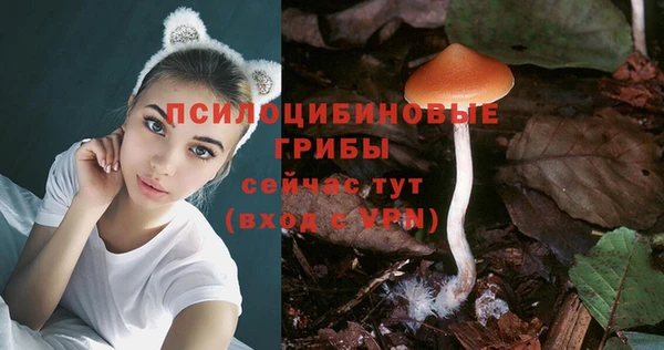 Альфа ПВП Горнозаводск