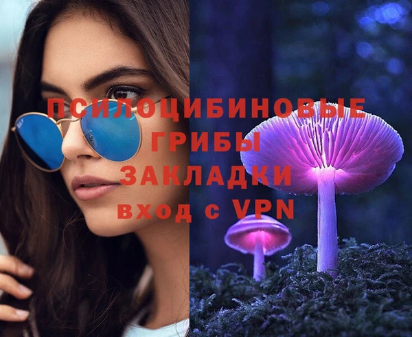 Альфа ПВП Горнозаводск