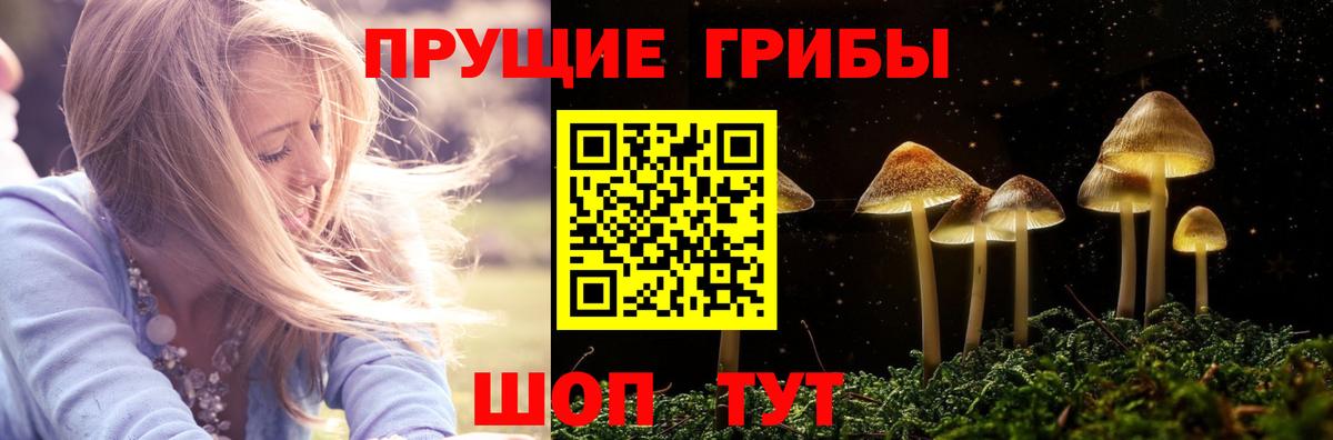 Галлюциногенные грибы GOLDEN TEACHER Черняховск